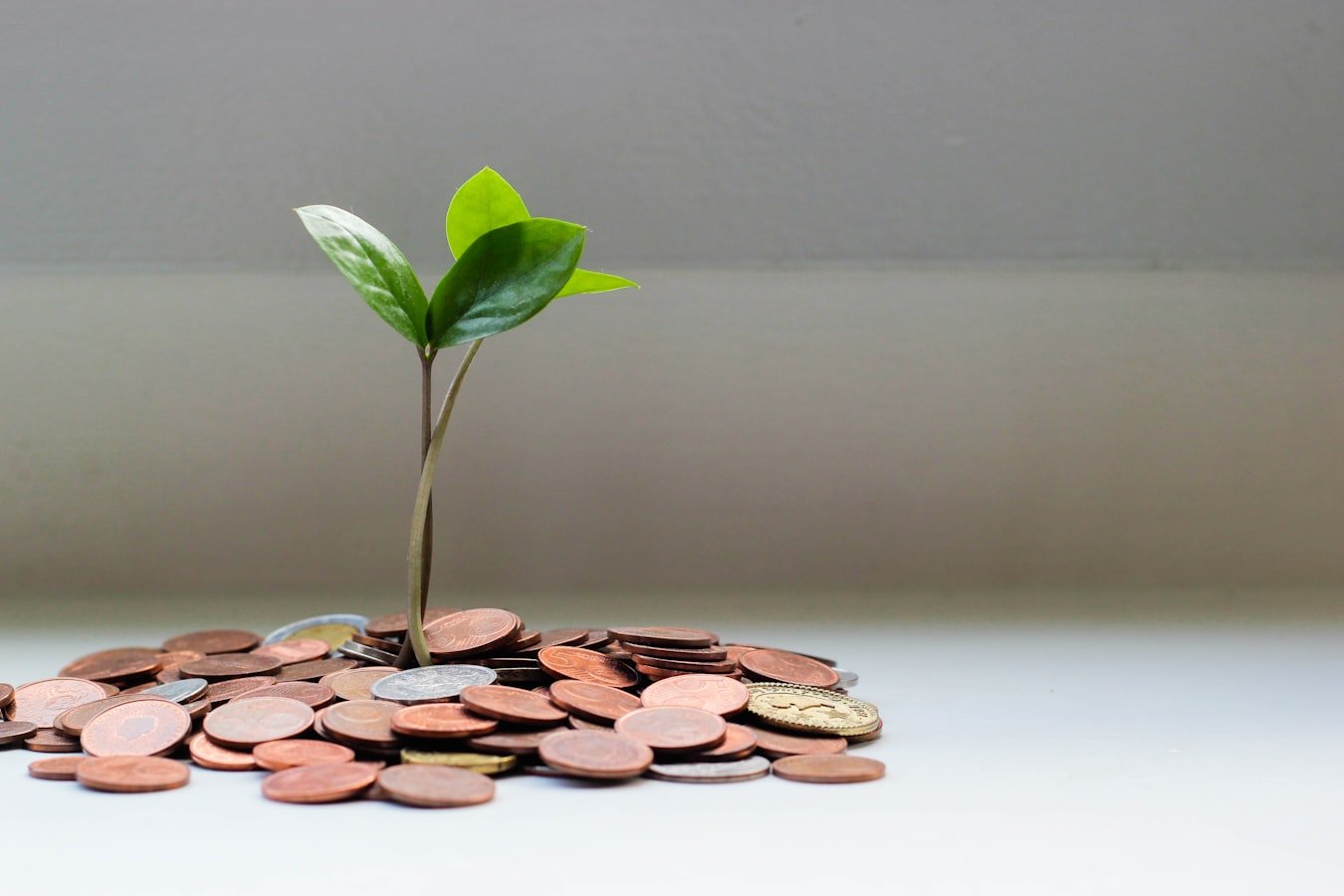 Cuentas de ahorro